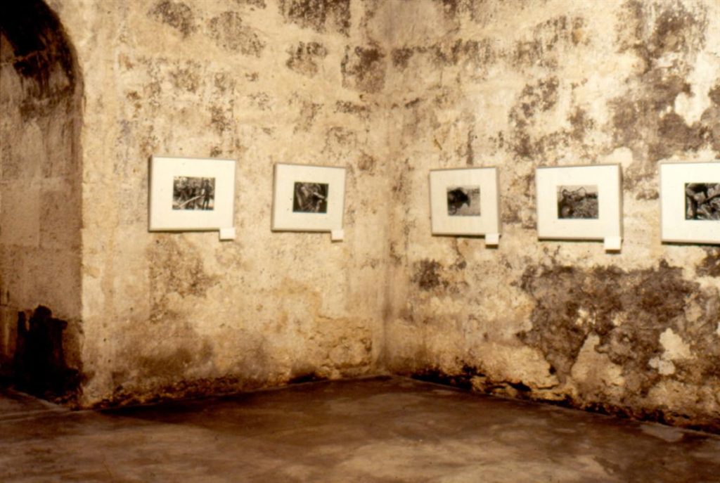 Tercera Bienal de La Habana / 1989
