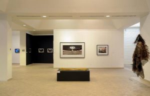 Vistas de la exposición CIFO Una Mirada Múltiple / Museo Nacional de Bellas Artes de La Habana