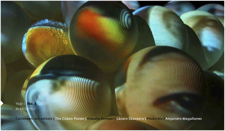 Revista Artcrónica Edición No-3, 2013 (Arte Cubano Contemporáneo)