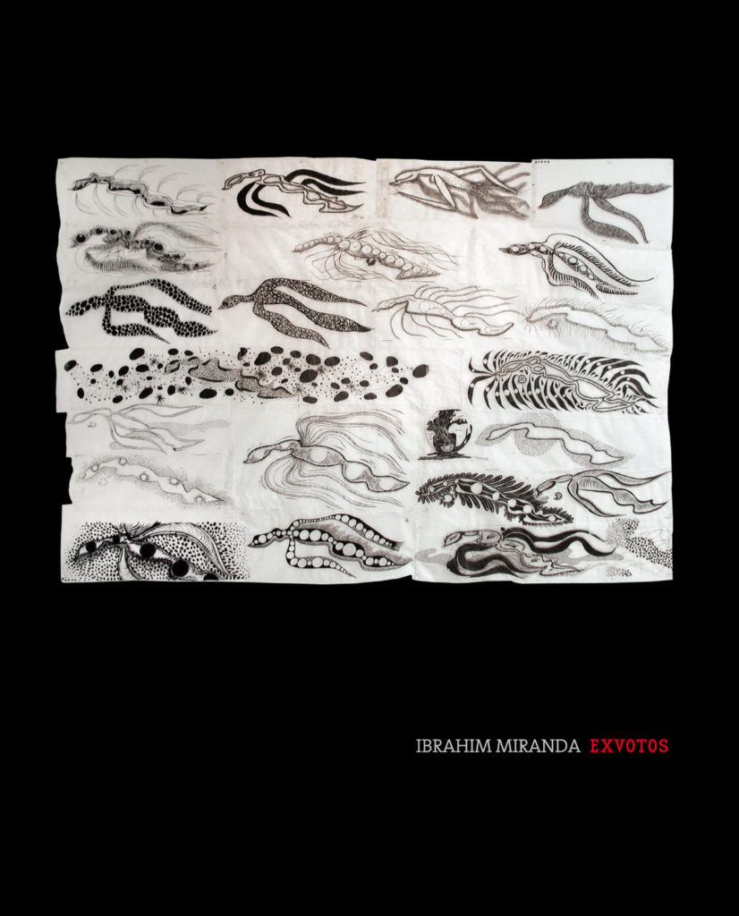 Catálogo de exposición Ibrahim Miranda